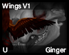 Ginger Wings V1