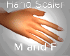 NY| Hand Scaler M&F