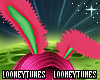 Exotic Bunneh Ears