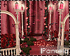 Celebrate Women Bundle R