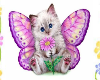 Kitty and butterflys