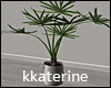 [kk] Modern Plant