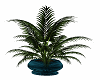 Blue vase plant