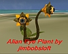 Alian 2 eyed plant