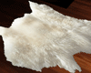 [KYH]depart_RUG_WHITE