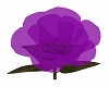 Twisted Purple Rose