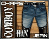 [H]LeatherChopsJean*BLK