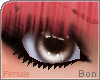 [B Brown Doll Eyes