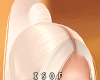 S-Allunare Pl&L Ponytail