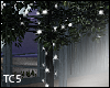 Ficus tree lights