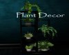 AV Plant Decor