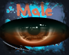 Chua Male Eyes
