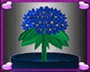 {LZ} Blue Plant