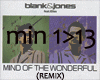 MindOfTheWonderful1/2Mix