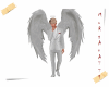 An Angel 👼