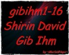 MH~ShirinDavid-GibIhm