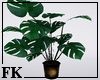 [FK] Foliage Plant 01