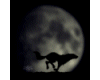 Running Wolf
