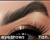 Y: HD brows | wild
