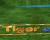 insegna tiger club singl