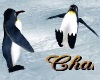 Cha`Zoo Playing Penguins