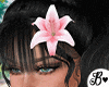 Tigerlily Beach Bundle