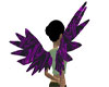 Purple wave cherub wings