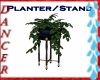 *D* DP - Planter & Stand