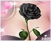 Black Rose on Chest