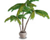 Tropical Palm/wicker pot
