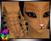 C; Luci Fur M v2