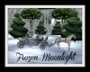 ~SB Frozen Moonlite Ride