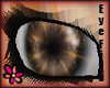 [Eye5]Browni Eyes