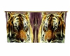 Tiger Curtain