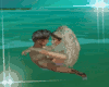 Couple Swim cuddle