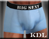 Big Sexy Briefs
