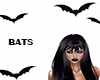 ML! Bats