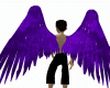 Angel Purple Wings M/F