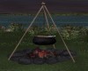 Camp Cookfire/ Beans