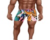 Mens Swim suit
