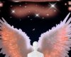 Peach angelic background