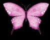 glitter Butterfly