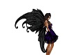 Fairy Wings Black