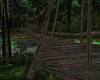 Jungle / Forest Bridge