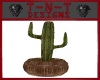 !TD Cowboy Cactus