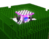 00Alice's Amazing Maze