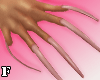 Ⓕ Nude Nails XL