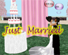 Just Married Animated