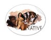 Native Girl  Sticker
