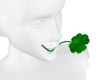 iva clover in the mounth